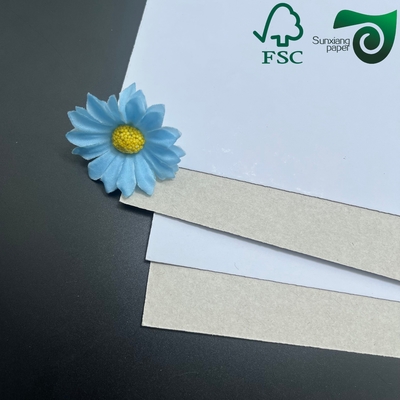 FSC 300gsm 450gsm C1S Coated Duplex Board  High Stiffness  Folding Resistance