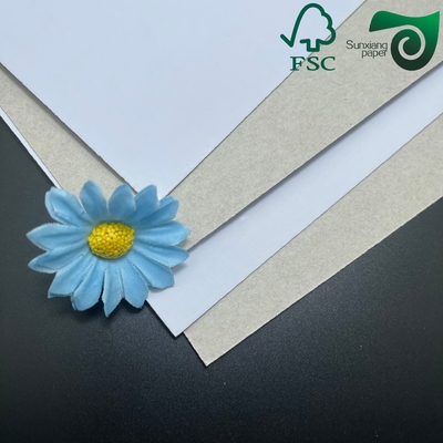 300g Recycled Duplex Board With Grey Back For Notebook Covers Coated Duplex