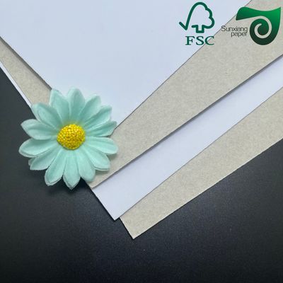 FSC 200gsm 450gsm Coated White Duplex Paper Board Grey Back Recycled Pulp