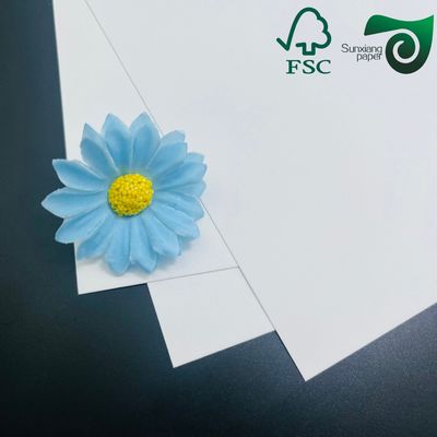 FSC Certified 325gsm Uniform White Coated Kraft Back Paper Tailored For Bread Packaging