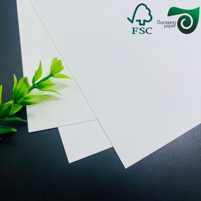 FSC Certified 325gsm Uniform White Coated Kraft Back Paper Tailored For Bread Packaging