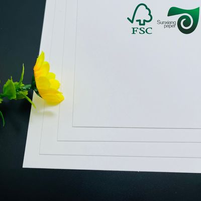 FSC Certified 325gsm Uniform White Coated Kraft Back Paper Tailored For Bread Packaging