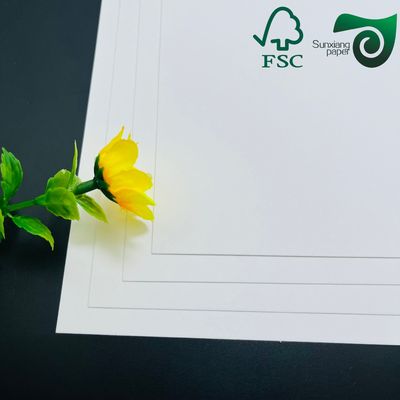 FSC Certified 325gsm Uniform White Coated Kraft Back Paper Tailored For Bread Packaging