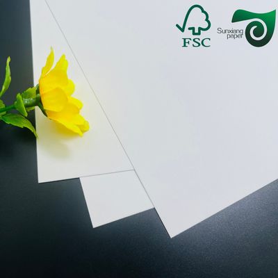 325gsm FSC Uniform White Coated Kraft Back Paper  Ideal For Premium Bread Packaging