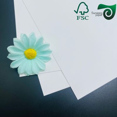 325gsm FSC Uniform White Coated Kraft Back Paper  Ideal For Premium Bread Packaging