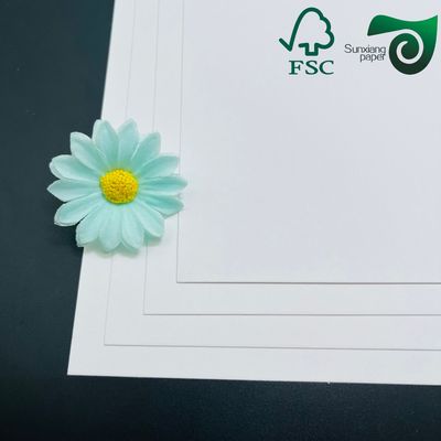 FSC 150gsm 170gsm 190gsm Virgin White Kraft Paper Rolls  Perfect For Making Paper Bags