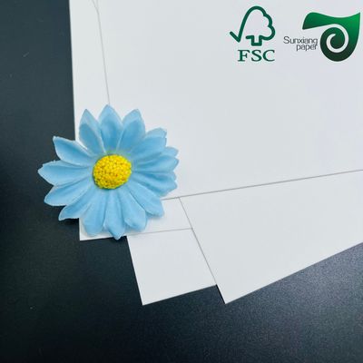 325gsm FSC Uniform White Coated Kraft Back Paper 70cm 100cm Perfect For Bread Packaging