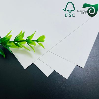 325gsm FSC Uniform White Coated Kraft Back Paper 70cm 100cm Perfect For Bread Packaging