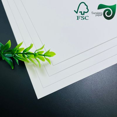 FSC Plastic-Free Water-Based Coated Bakery Paper  200gsm  Food Grade