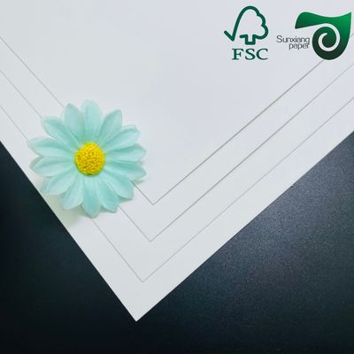FSC 200gsm Virgin White Kraft Paper Rolls 24"   35"  Perfect For Making Paper Bags