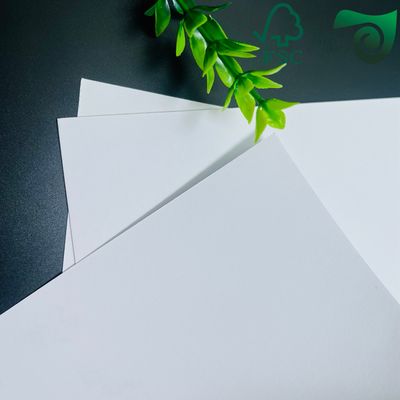 FSC Natural White Bible Paper  50gsm High Opacity Uncoated Offset Paper For  Book Printing