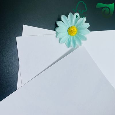 FSC Uncoated Woodfree White Paper  180gsm Wholesale For Shopping Bag Manufacturing