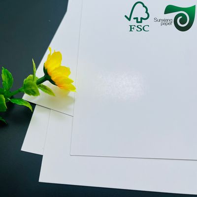 FSC Double Sided Coated Glossy Cover Paper  460mm 650mm  With High Printability