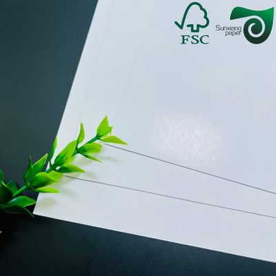 FSC  SGS Certified Double Sided Coating  C2S 300GSM White Glossy Art Paper Reel 100% Natural Pulp