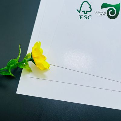 FSC C2S Matte  Glossy Coated Art Board 80G 115G  635mm 900mm Coated Two Sides