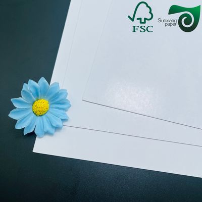 FSC C2S Matte  Glossy Coated Art Board 80G 115G  635mm 900mm Coated Two Sides