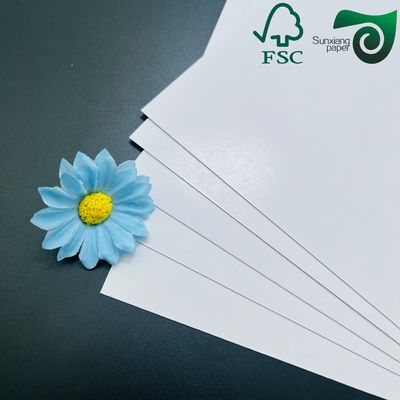 FSC C2S Matte  Glossy Coated Art Board 80G 115G  635mm 900mm Coated Two Sides