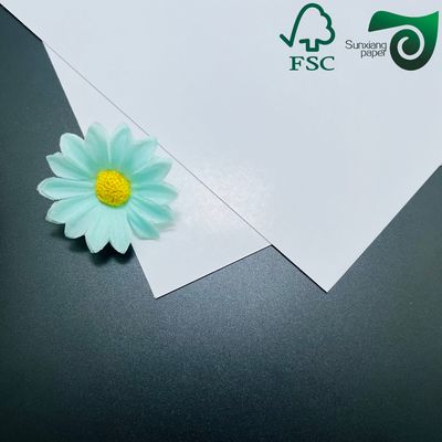 FSC Double Sided Coated Glossy Cover Paper  460mm 650mm  With High Printability