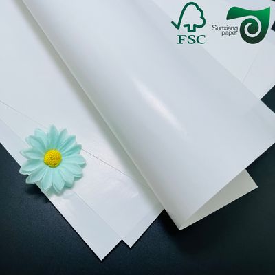 FSC American Bristol Paper Board 200gsm 300gsm Premium High Gloss Sheet Printing Paper