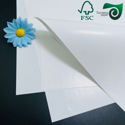 White Coated Cardboard C2S Couche Paper Brilliant Coated Face 100gsm 128gsm 157gsm 81cm 116cm