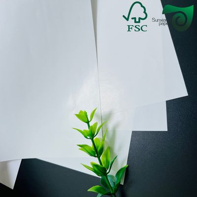 FSC 80gsm 90gsm Super White Gloss Mirror Cast Coated Paper For Sticker 20 30 Inches