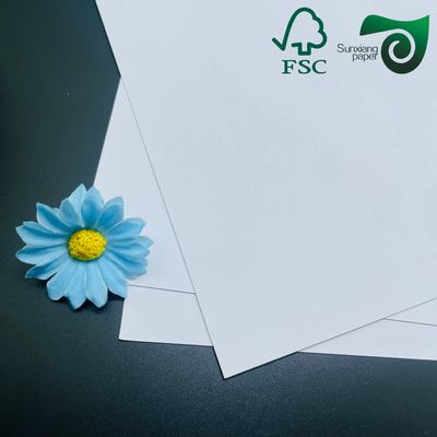 FSC 210g Food Grade C1S SBS Solid Paperboard White Cardboard Wholesale Vietnam Printing Supplier