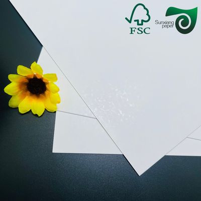 FSC 210g Food Grade C1S SBS Solid Paperboard White Cardboard Wholesale Vietnam Printing Supplier