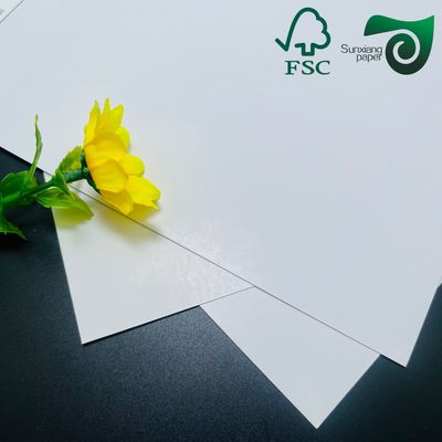 320gsm High Brightness White Cardboard Roll Ideal for Industrial Packaging and Creative Applications