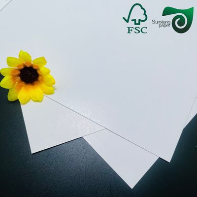 FSC Certified 250gsm C1S Coated One Side Art Board Custom Sizes For Premium Hang Tags