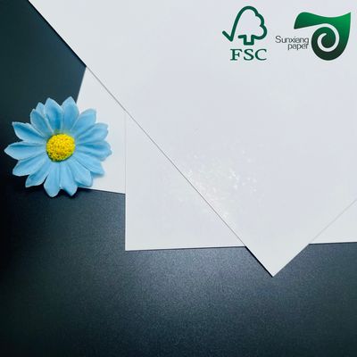 FSC 270GSM C2S Gloss Cover Paper 12''  18'' Acid Free For Magazine  High End Printing