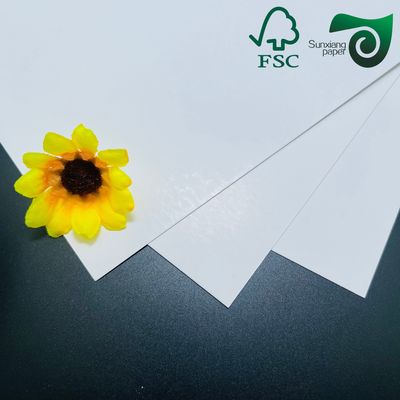 FSC Certified Double Sided Coated Couche Paper Waterproof  Ideal For Advertising Postcards