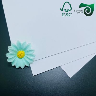 FSC 215gsm 350gsm One Side Coated Food Grade Bleached Cardboard 770mm 1100mm