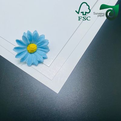 FSC 215gsm 350gsm One Side Coated Food Grade Bleached Cardboard 770mm 1100mm