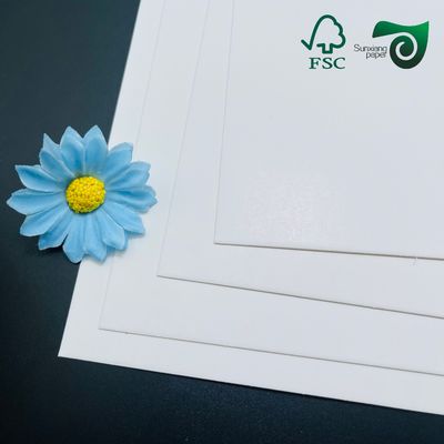 FSC Certified White Food Grade Single Sided Coated Board 215g 235g For Food Packaging