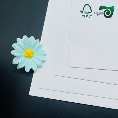 FSC Certified White Food Grade Single Sided Coated Board 215g 235g For Food Packaging