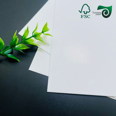 FSC 260gsm Heat Resistant PET Coated White Cardboard  Food Grade For Toasting