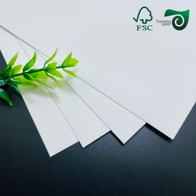 FSC 260gsm Heat Resistant PET Coated White Cardboard  Food Grade For Toasting