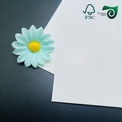 FSC 260gsm Heat Resistant PET Coated White Cardboard  Food Grade For Toasting