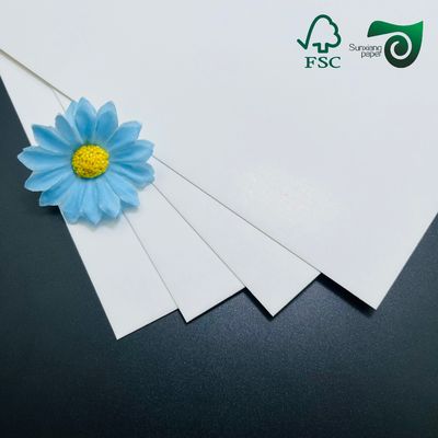 FSC Food Grade FBB Paper Board 215gsm 295gsm For Medicine Boxes  70cm 100cm