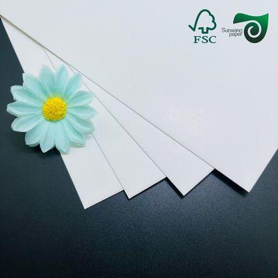 FSC Food Grade FBB Paper Board 215gsm 295gsm For Medicine Boxes  70cm 100cm