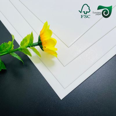 FSC Food Grade FBB Paper Board 215gsm 295gsm For Medicine Boxes  70cm 100cm