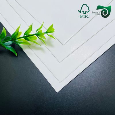 FSC 210g Food Grade C1S SBS Solid Paper Card   One Side Coated 30 40in white cardboard