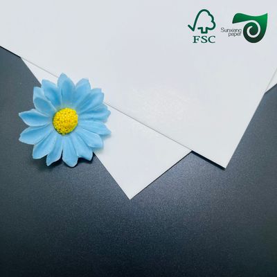 FSC 210g Food Grade C1S SBS Solid Paper Card   One Side Coated 30 40in white cardboard
