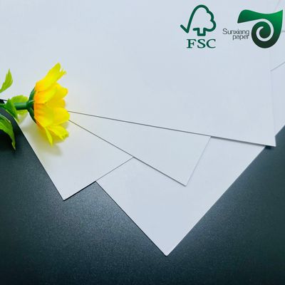 FSC 400gsm C1S Clay Coated Paper With Grey Back 22"   24"  Premium Packaging Paper