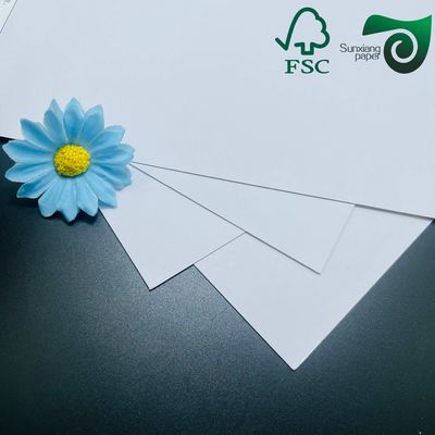 450gsm C1S Coated Grey Back Duplex Board Jumbo Roll 1300mm Width For Shoe Box  Carton Packaging Printing