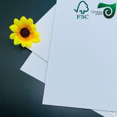 FSC 350g 450g Couche White Back Gray Paper Coated Duplex Board For Packaging Boxes
