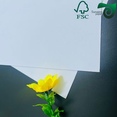 FSC 20pt 30"  40" Grey Back Duplex Board Glossy Coated White Top