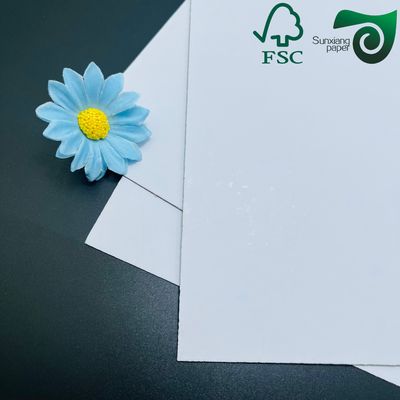 FSC 350g 450g Couche White Back Gray Paper Coated Duplex Board For Packaging Boxes