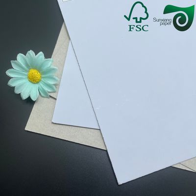 FSC Recycled CCNB Clay Coated Duplex Board Paper 14pt 18pt For Packaging