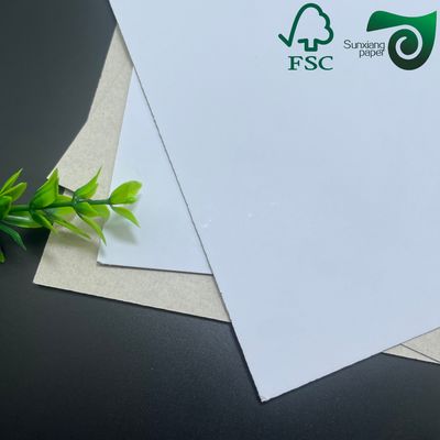 FSC Recycled CCNB Clay Coated Duplex Board Paper 14pt 18pt For Packaging